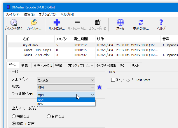 ファイルの拡張子を指定